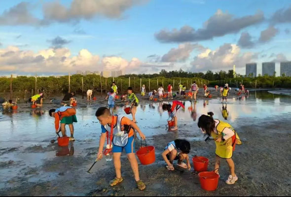 2026广西北海·追鲸逐浪亲子冬令营（5天）