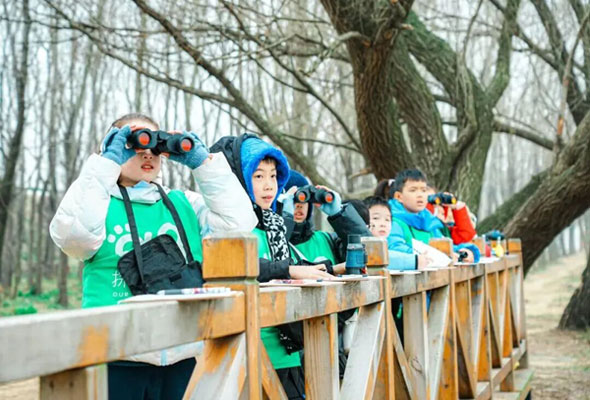 2026湖北武汉五感捕捉·写作日间走读冬令营（5天）