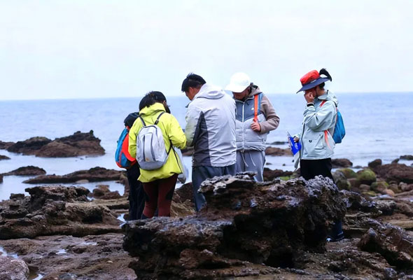 2026广西北海涠洲岛研学冬令营(5天) 2026广西北海涠洲岛研学冬令营(5天)