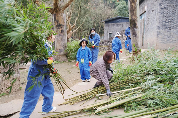 淘熊猫研学冬令营怎么样？详细的活动介绍，了解一下。