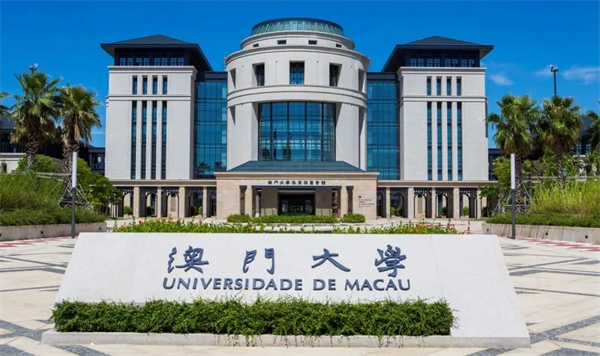 大湾区有什么冬令营活动？精彩内容都在下面