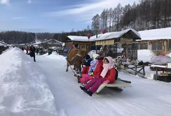 吉林滑雪冬令营排名，都在这里啦