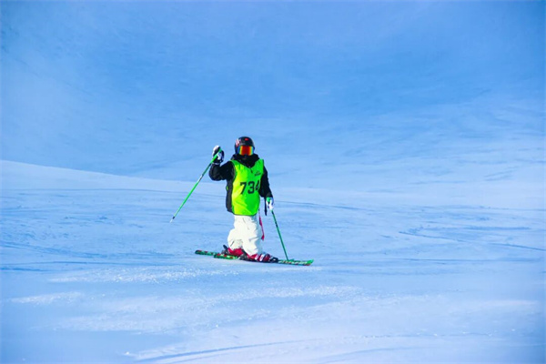 新疆滑雪冬令营有哪些？专业机构不踩坑