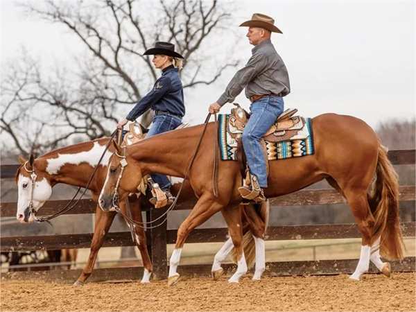 马术冬令营哪家好？这两家有名机构不要错过