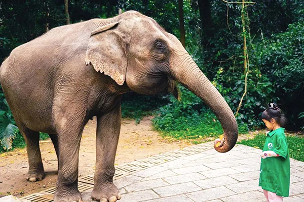 云南亲子冬令营有哪些？一起来看看吧