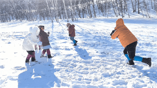 乌兰布统研学冬令营哪家好？热门机构推荐
